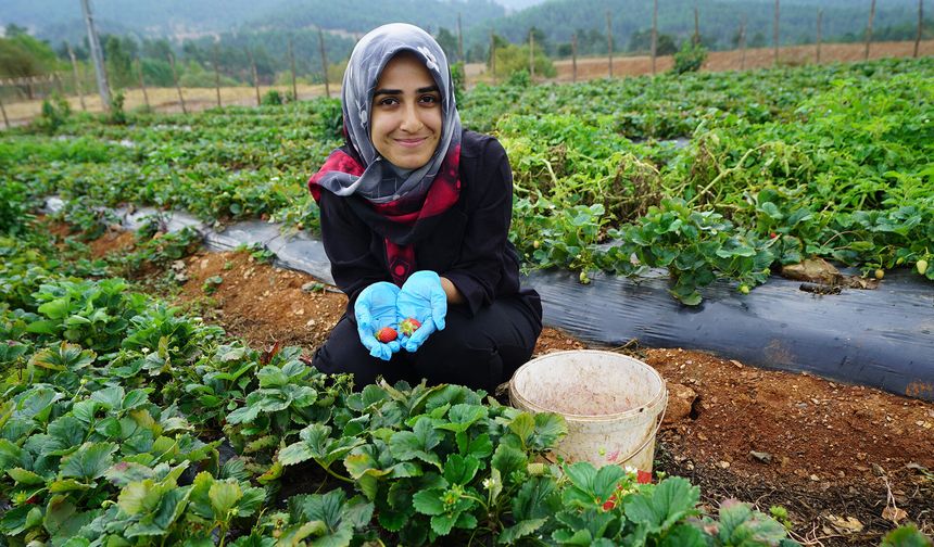 Kadın Emeği Büyüyor: Ürünler Türkiye’nin Dört Bir Yanına Ulaşıyor