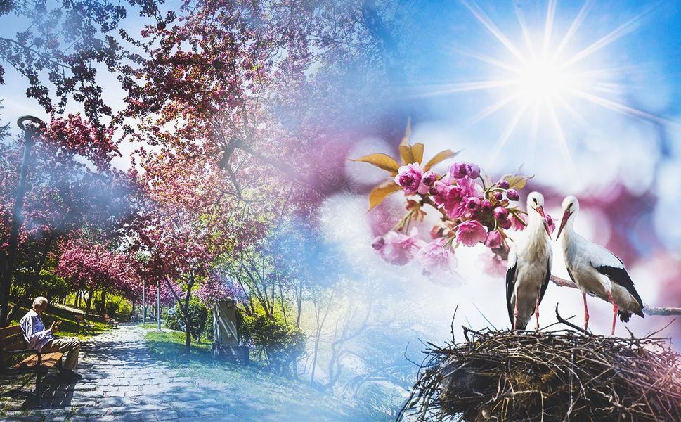 Afşin’de Hava Durumu: 23 Mart Pazar
