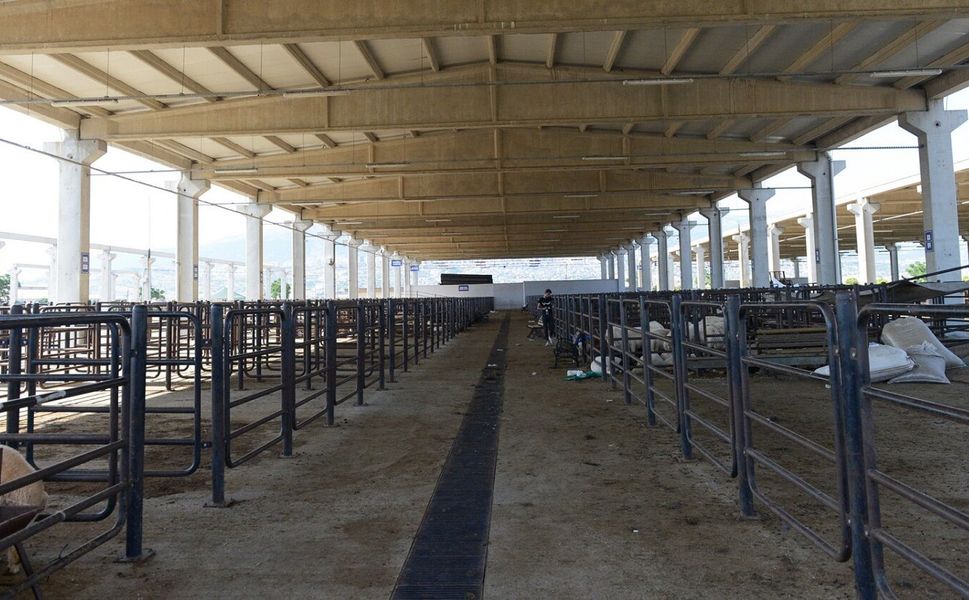Canlı Hayvan Borsası Geçici Olarak Hizmete Kapatıldı