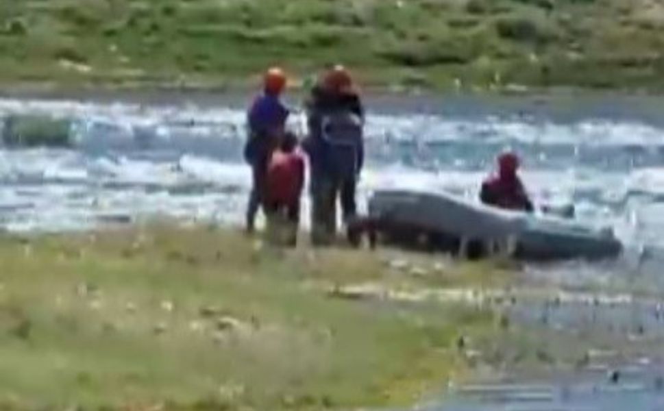 Sular Yükseldi, 3 Çocuk ve 2 Köpek Adada Mahsur Kaldı!