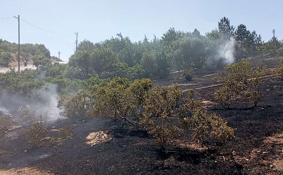 Afşin İlçe Tarım Müdürlüğü’nden Çiftçilere Anız Yakma Uyarısı