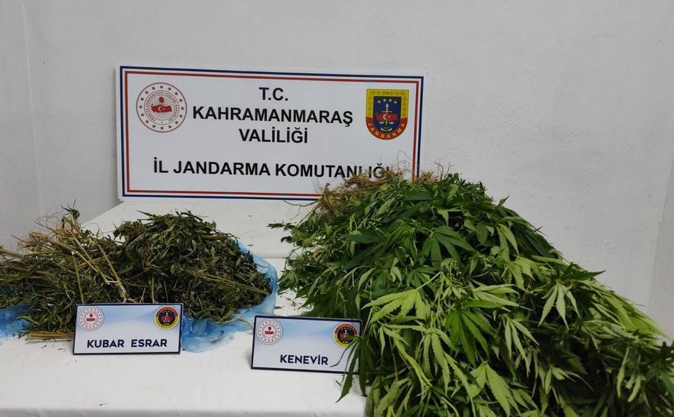 Afşin’de Jandarmadan Kenevir Operasyonu