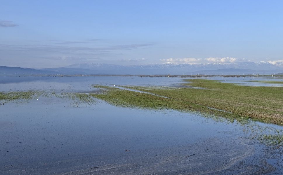 Sağanak Yağışlar Tarım Arazilerini Vurdu