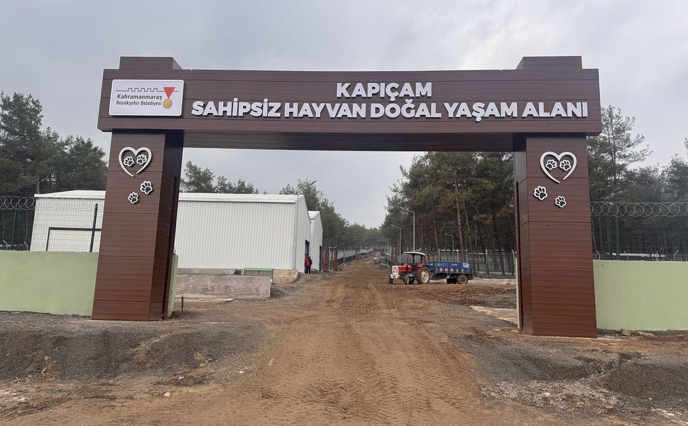 Depremde Hasar Gören Kapıçam Sokak Hayvanları Rehabilitasyon Merkezi Yenilendi