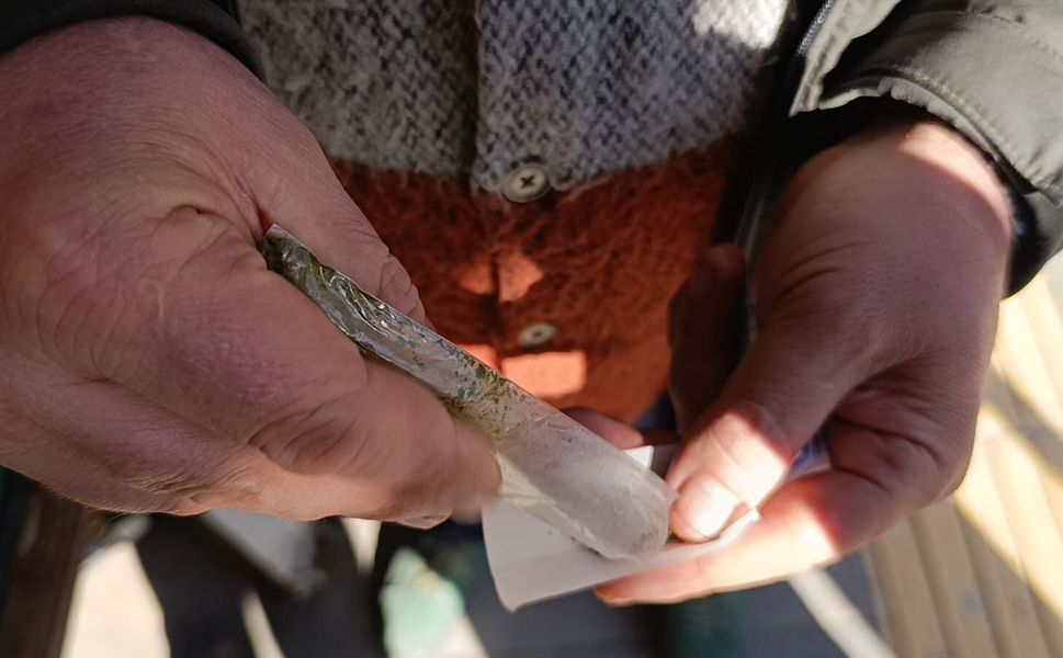 Maraş Otu Kullananlar Dikkat: Günde 8 Paket Sigaraya Bedel