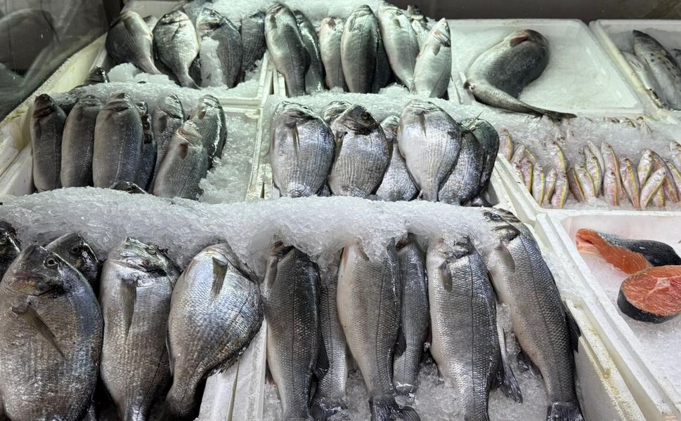 Su Ürünleri Av Yasağı Başladı