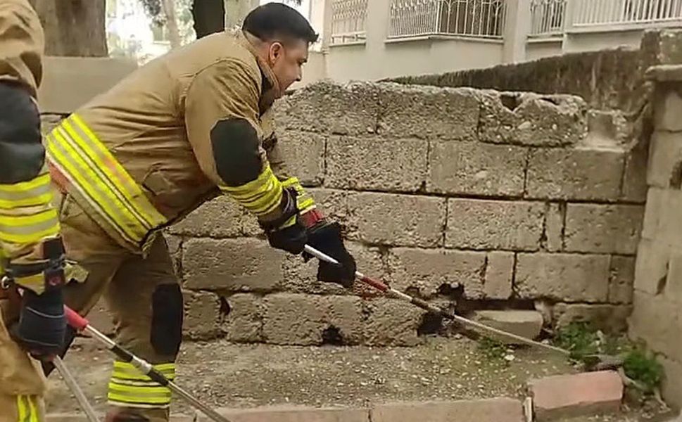 Evin Bahçesinde Yılan Alarmı