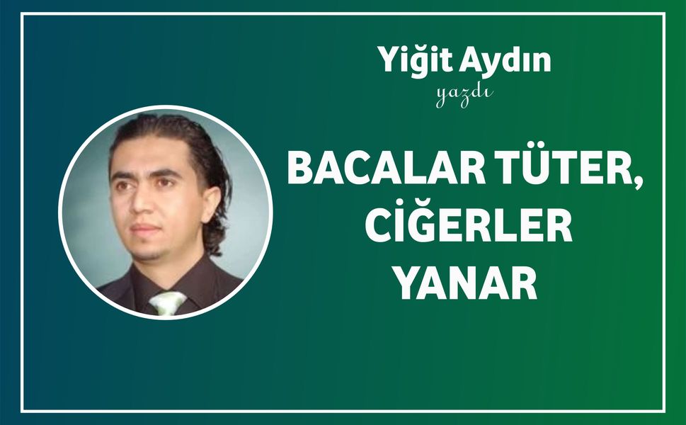 Bacalar Tüter, Ciğerler Yanar