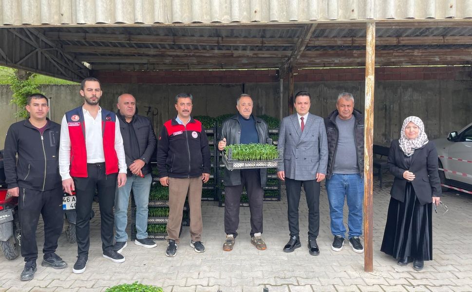 Afşin’de Çiftçilere 30 Bin Maraş Biberi Fidesi Dağıtıldı
