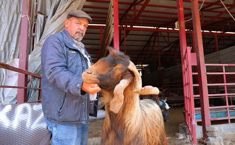 Kurbanlık Fiyatlarında Esnaftan İndirim Kararı