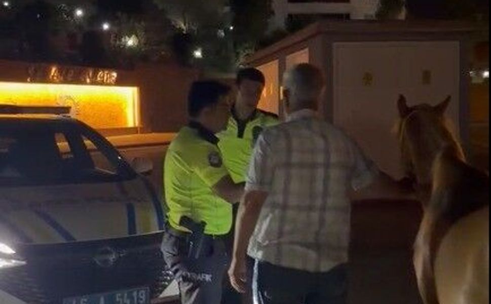 Kaçan Atları Trafik Polisleri Sahibine Teslim Etti