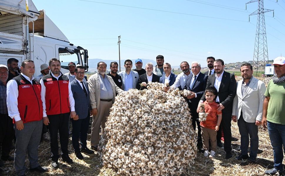 Sarımsak Üretiminde Kahramanmaraş Türkiye’de İlk Üçte