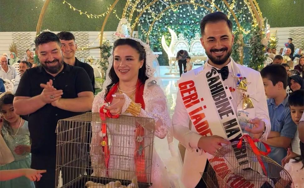 Düğünde Altın Yerine 100 Civciv Hediye Etti