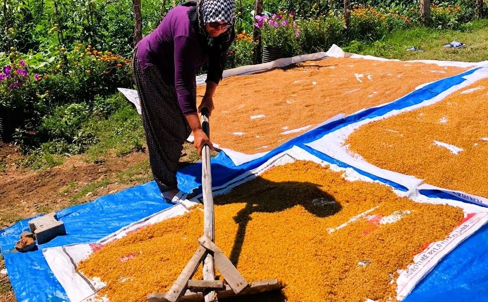 İmece Geleneği Sürüyor: Bulgur Kazanları Yeniden Yandı