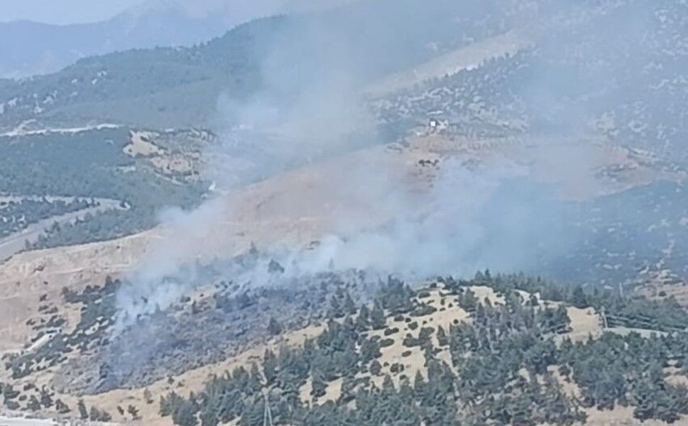 Kahramanmaraş'ta Orman Yangını