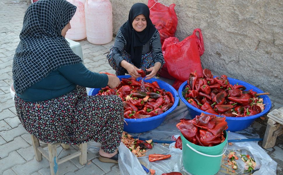 Afşin’de Kış Hazırlıkları Başladı! Salçalık Biber ve Domates Tezgâhları Şenlendirdi