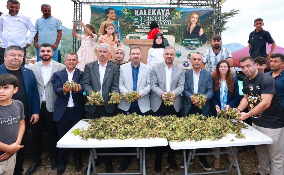 Kahramanmaraş’ın Karadeniz’i’nde Fındık Hasadı Şenliği