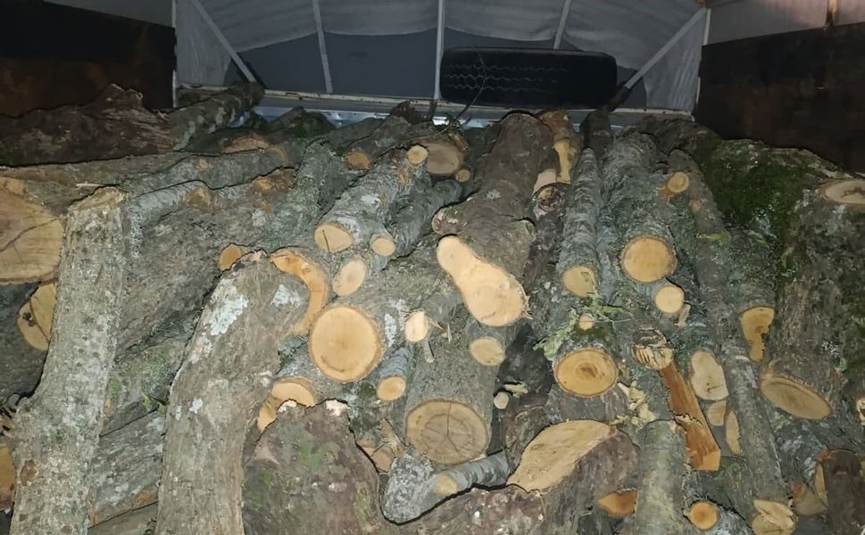 Kaçak Kesilen Ağaçlara El Konuldu