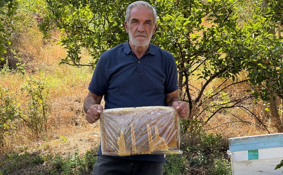 Arı Peteğinde Şaşırtan Görüntü! “Allah” Yazısını Andıran Şekil