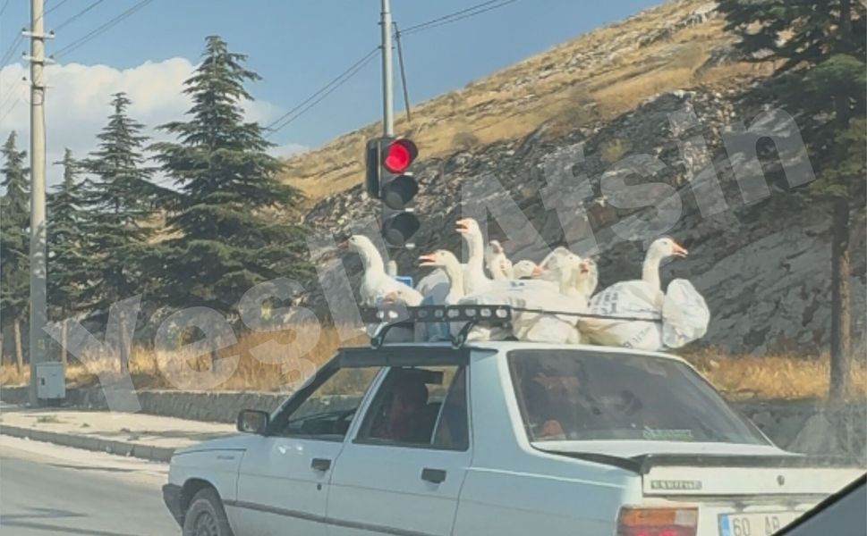 Bu Görüntü Sosyal Medyada Gündem Oldu
