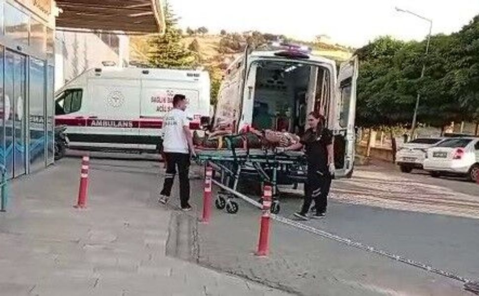 Ceviz Ağacından Düşen Adam Ağır Yaralandı