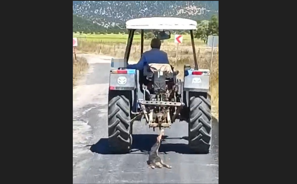 Hayvana Eziyet Kamerada! Köpeği Traktörün Arkasında Sürükledi