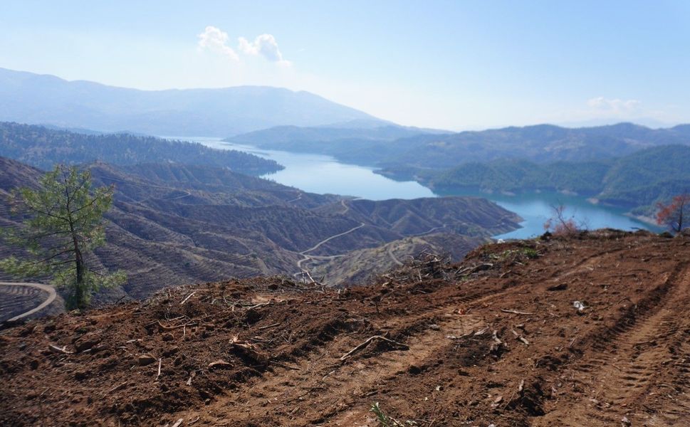 Kahramanmaraş’ta Yanan Ormanlara 1 Milyon Fidan Dikilecek