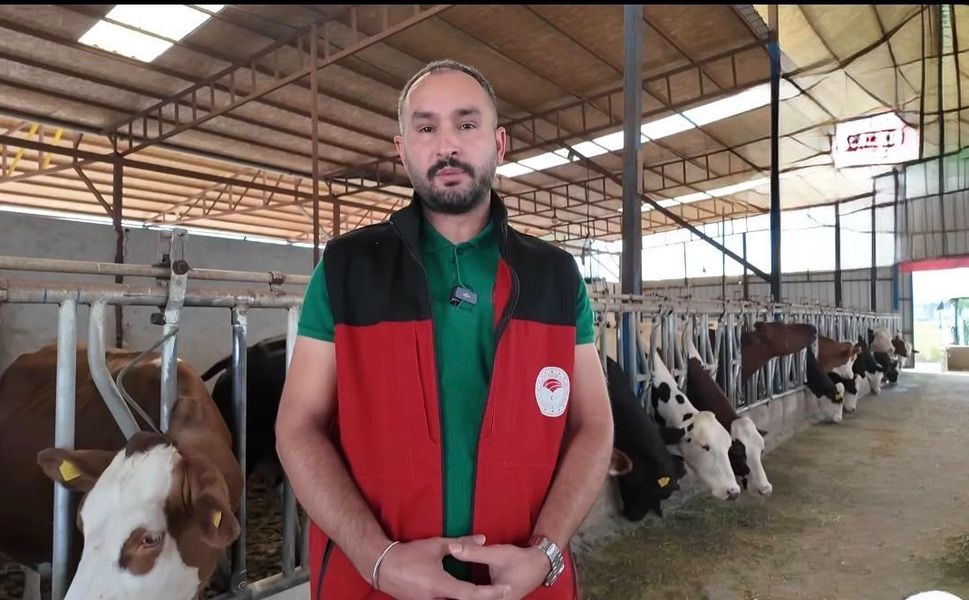 Şap Hastalığına Karşı Uyarı: Hayvanlarda Bu Belirtilere Dikkat!