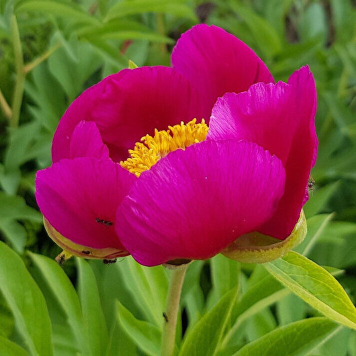 Whatsapp Görsel 2024 05 21 Saat 09.11.42 3Faf01B4