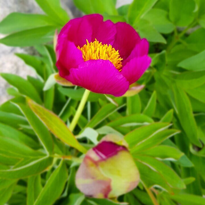 Whatsapp Görsel 2024 05 21 Saat 09.11.42 8Ad41770