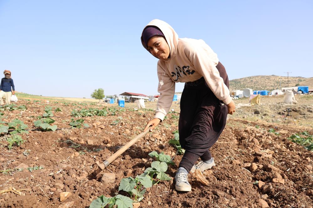 Kahramanmaraş'ta Hasadın Tamamlandığı Tarım Arazileri Ikinci Ürünle Buluşturuluyor3