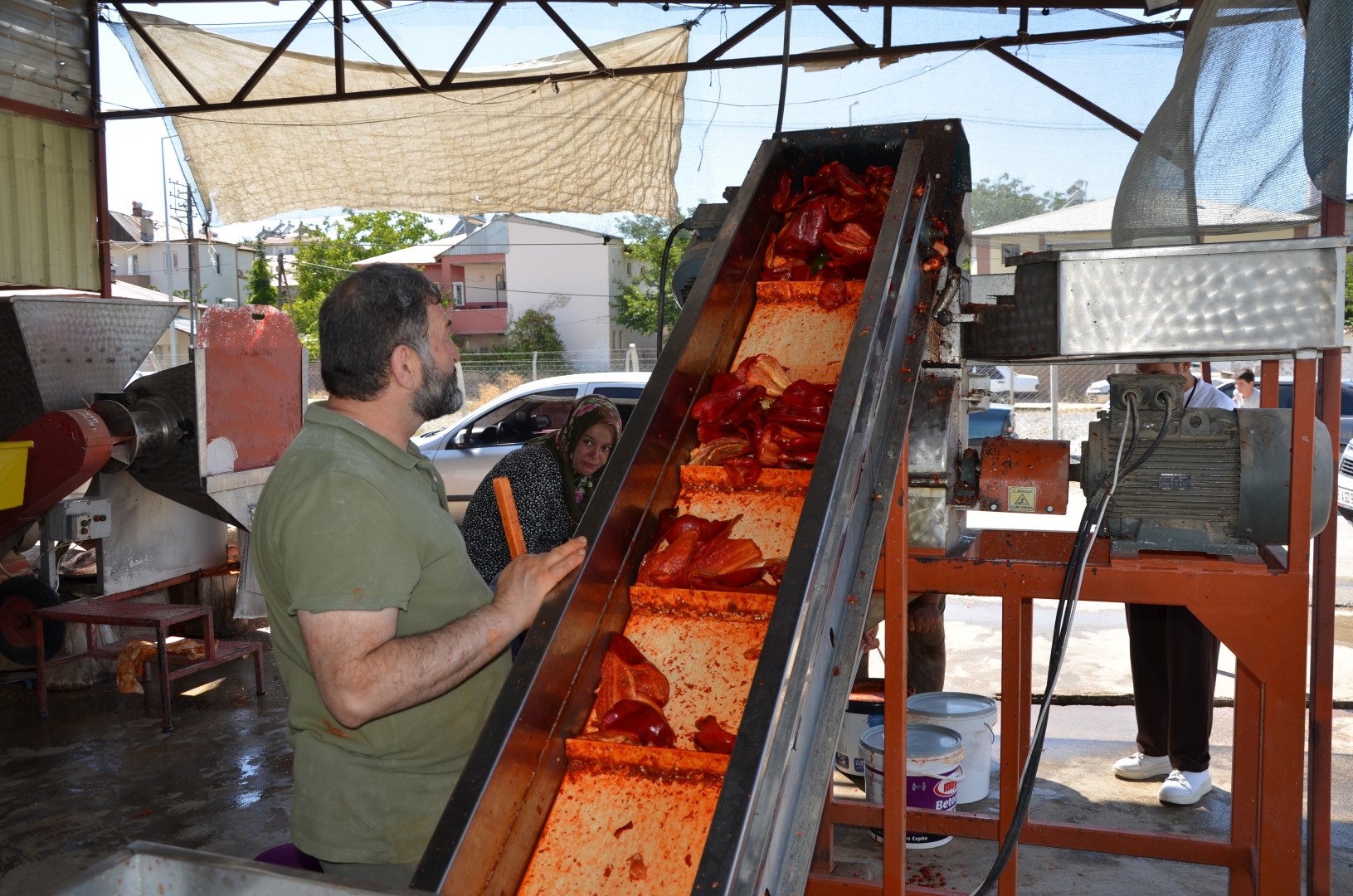 Afşin’de Salçalık Biber Telaşı Başladı (9)