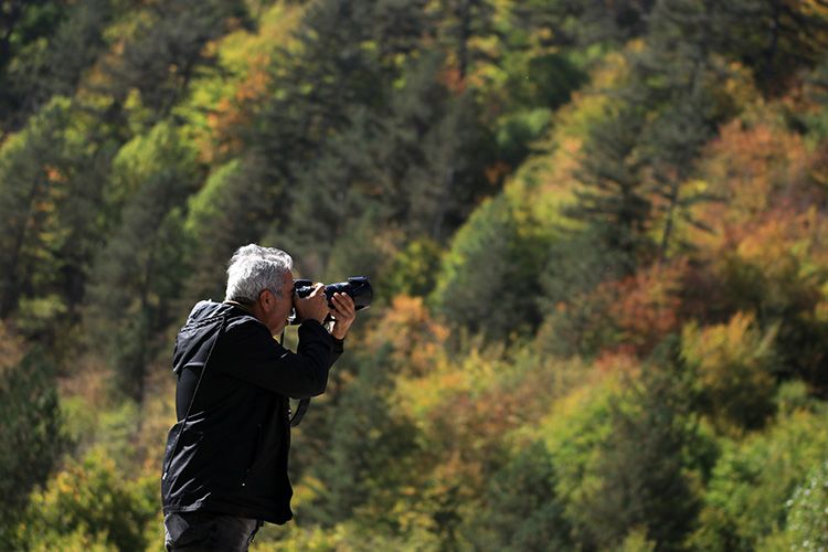 Dogada Fotografcilik Ipuclari Mukemmel Kareler Icin Detayli Rehber 1723499512