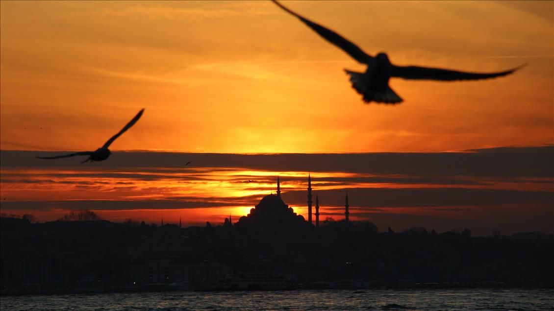 Dogada Fotografcilik Ipuclari Mukemmel Kareler Icin Detayli Rehber 2