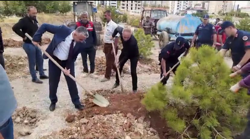 Elbistan Belediyesi İlçeyi Yeşillendiriyor2