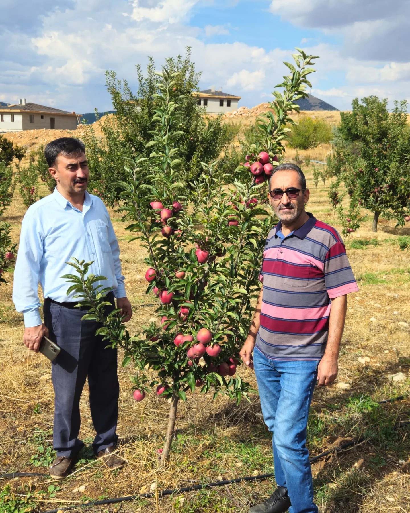 Göksun'da Elma Bahçelerini Koruyan Biyoteknik Yöntem4