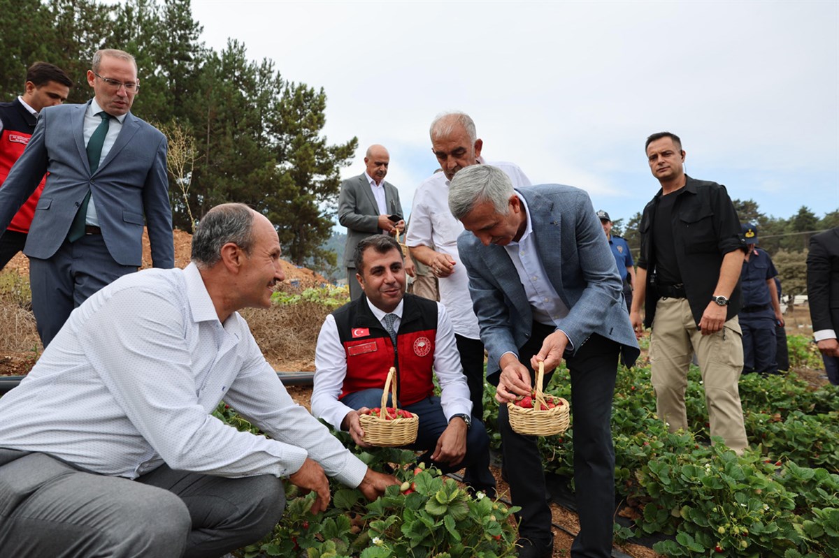 Türkoğlu İlçesi’nde Çilek Üreticileri Birliğine % 75 Hibe İle Ön Soğutmalı Çilek Soğuk Odası Yaptırıldı10