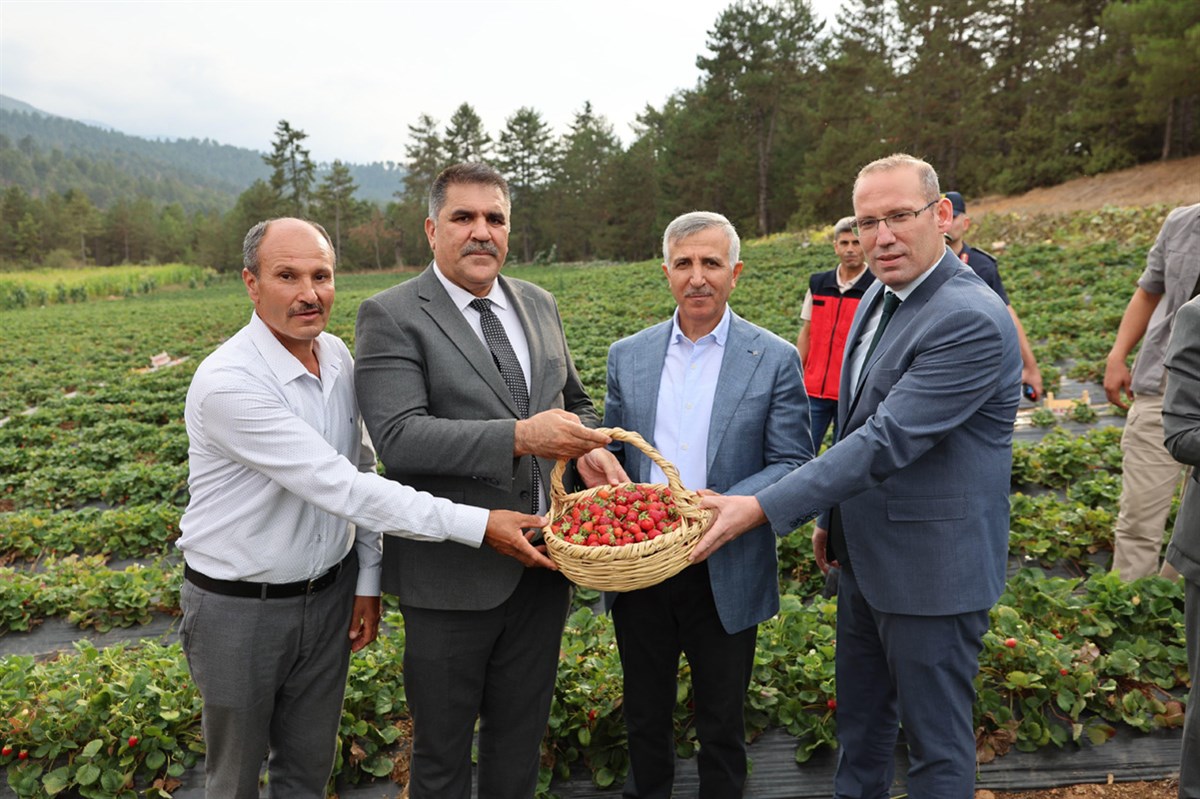 Türkoğlu İlçesi’nde Çilek Üreticileri Birliğine % 75 Hibe İle Ön Soğutmalı Çilek Soğuk Odası Yaptırıldı11