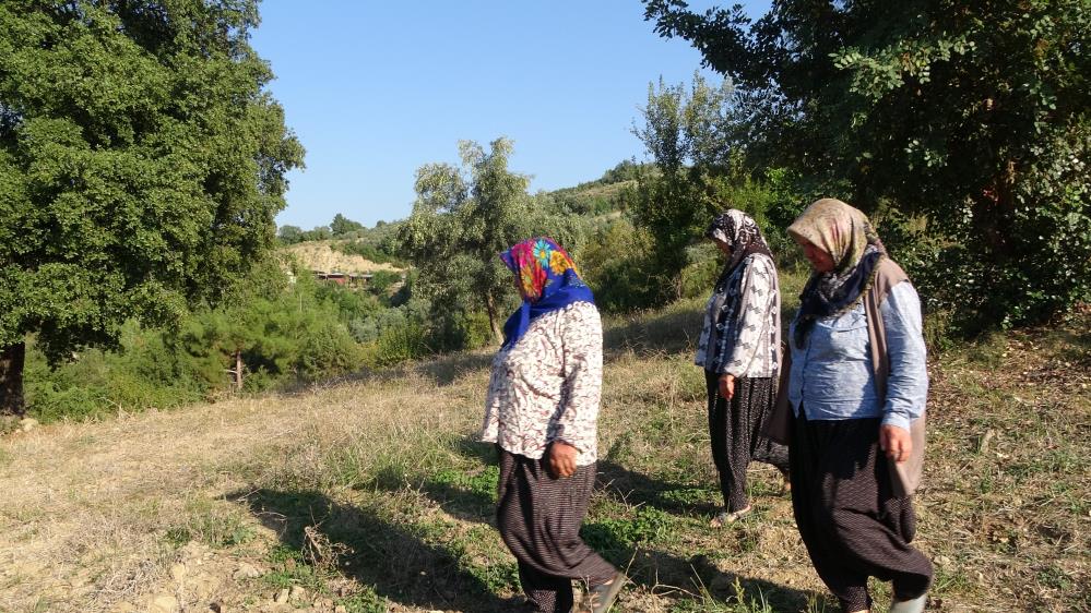 Kadınlara Karşı Soyunup Tartışan Kişi Zeytin Ağaçlarını Kesti Iddiası 2