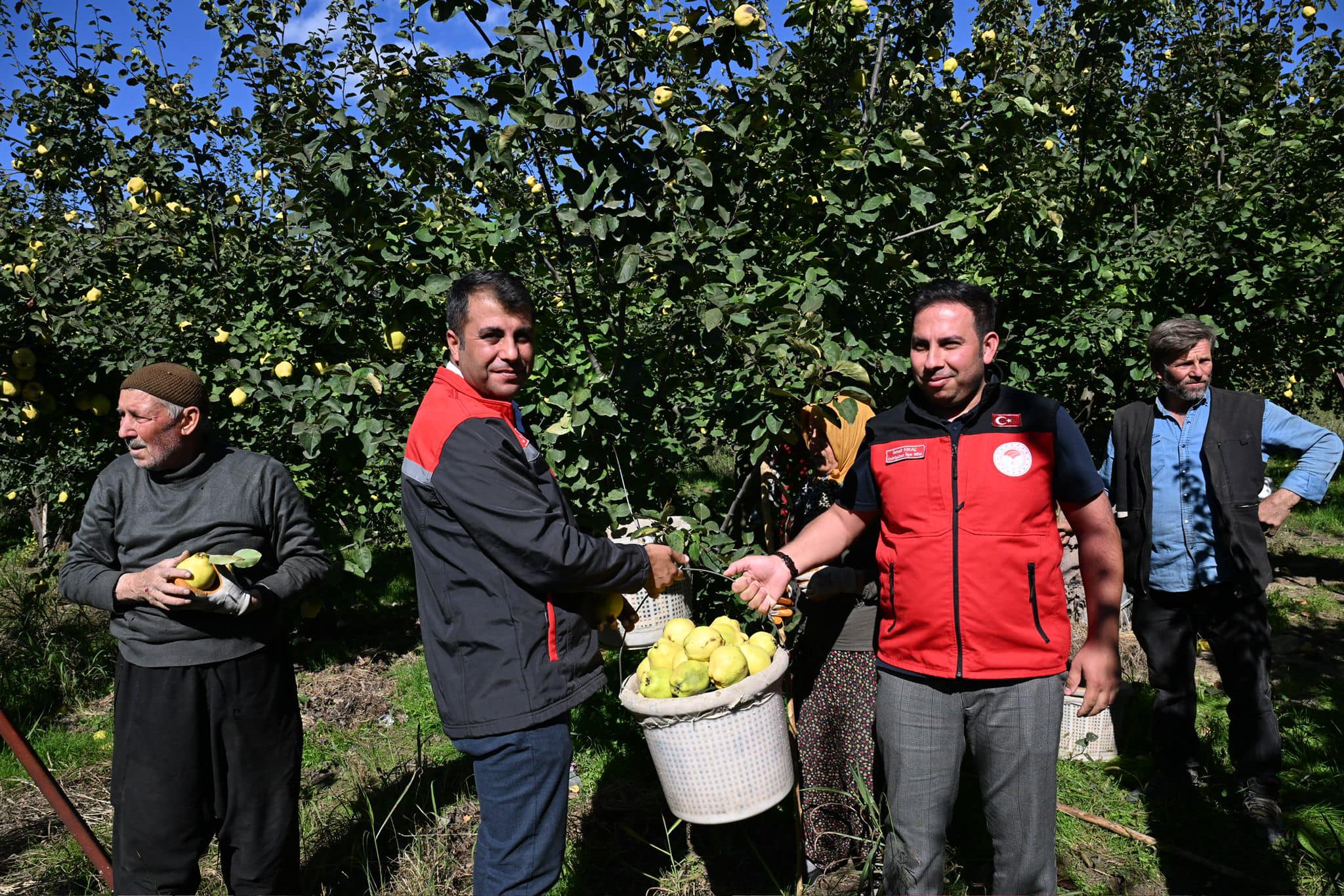 Kahramanmaraş İl Tarım Ve Orman Müdürü Ramazan Bilir Onikişubat’ta Ayva Üreticilerini Ziyaret Etti2