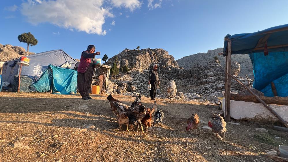 Söğüt Yaylası'nın Son Leylek Kafilesi Göç Yolculuğuna Başladı 3