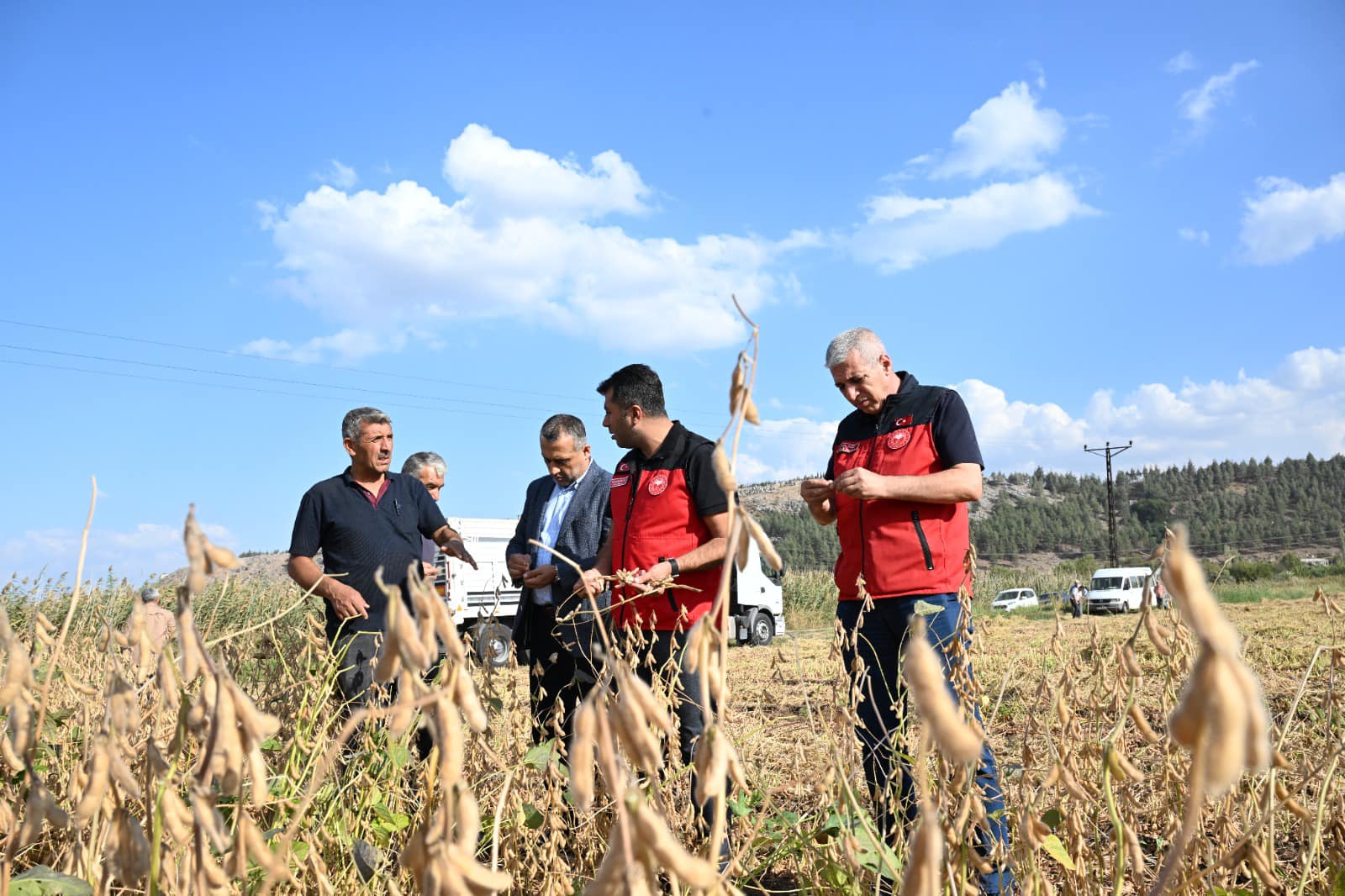 Soya Fasulyesi Hasadı Gerçekleştirildi