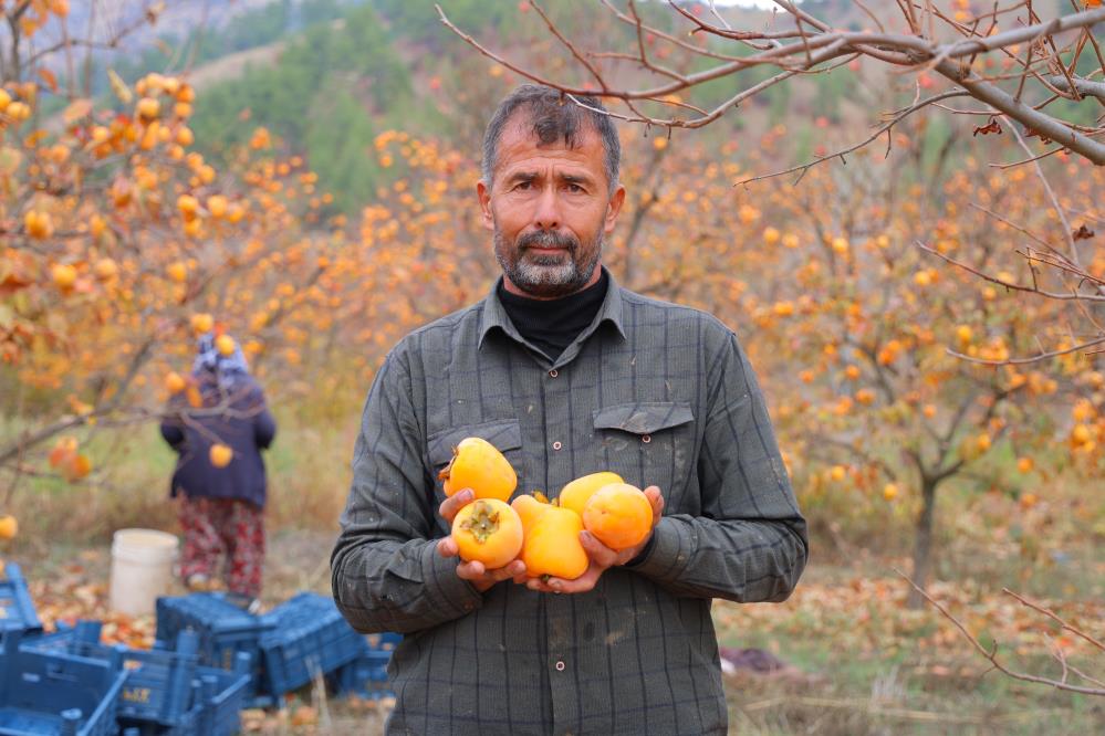 Bahçede 25, Markette 80 Lira 2