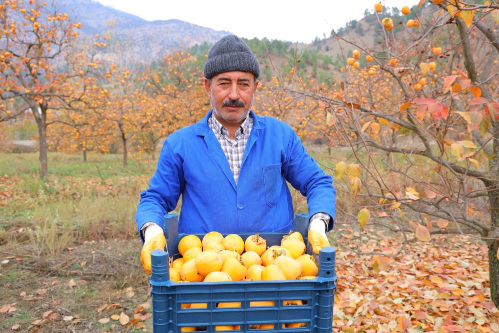 Bahçede 25, Markette 80 Lira 5