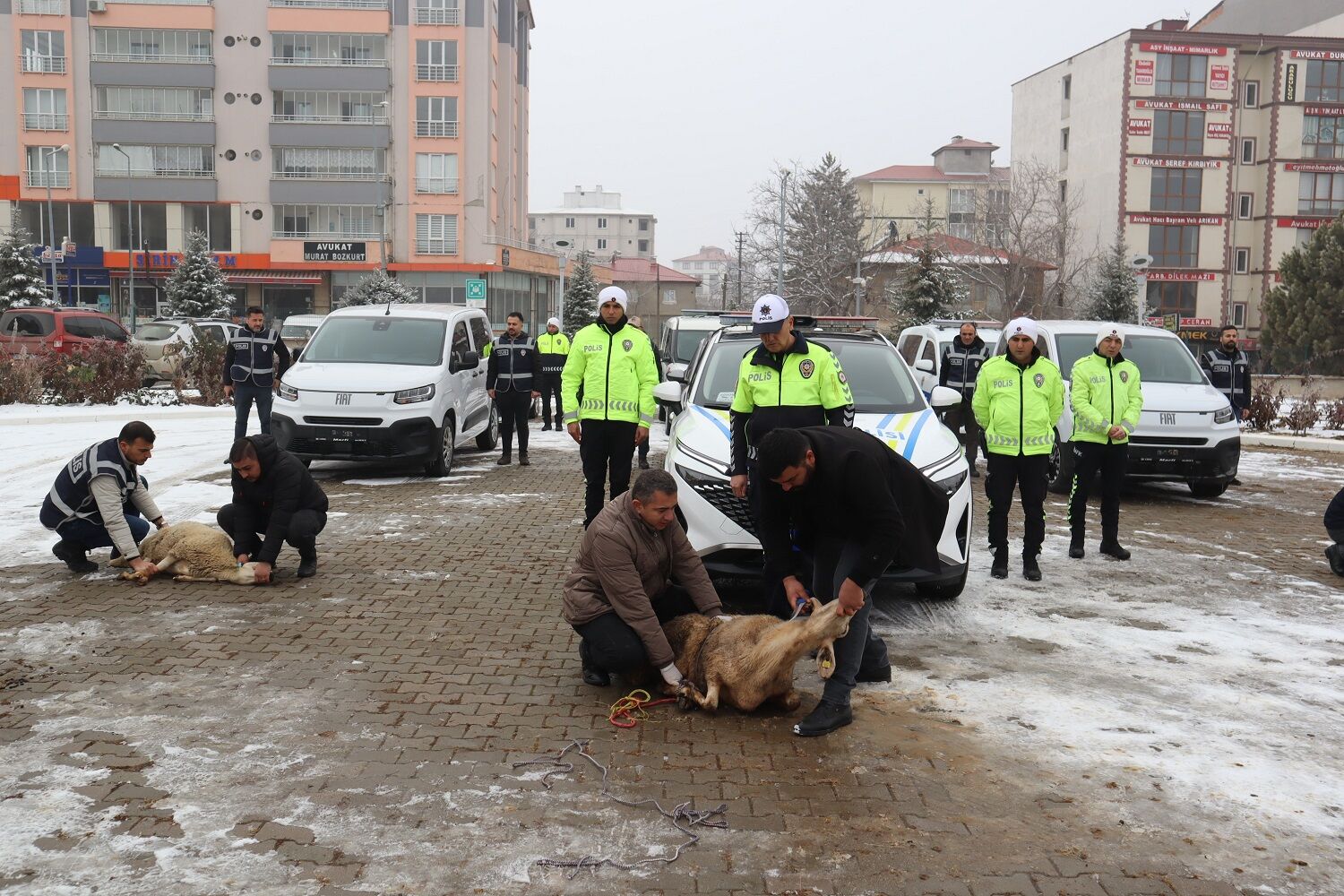 Afşin İlçe Emniyet Müdürlüğü 7 Yeni Araçla Güçlendi (12)