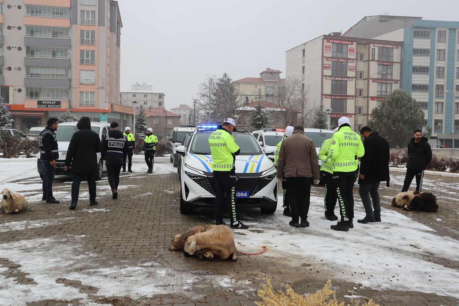 Afşin İlçe Emniyet Müdürlüğü 7 Yeni Araçla Güçlendi (4)