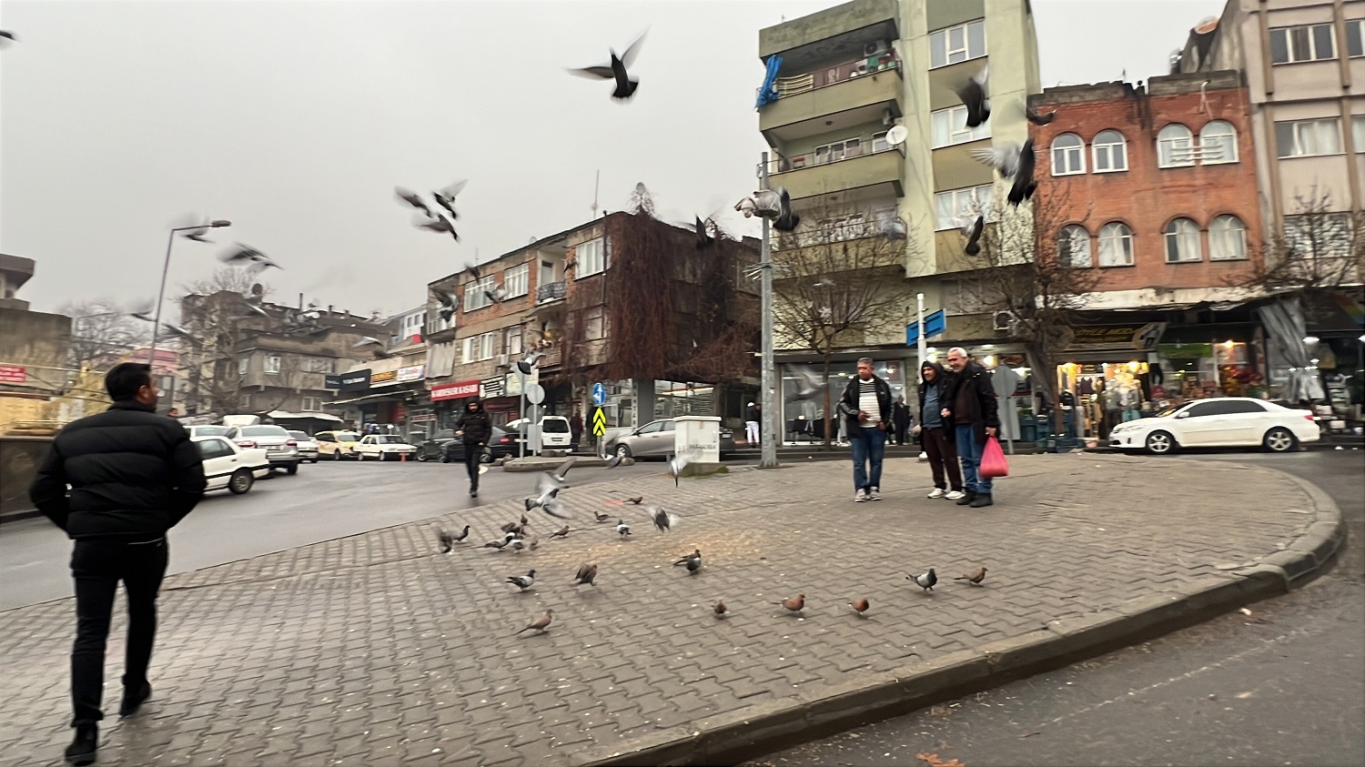 Depremde Hasar Alan Cami Önündeki Güvercinleri Her Gün Yemliyor (1)