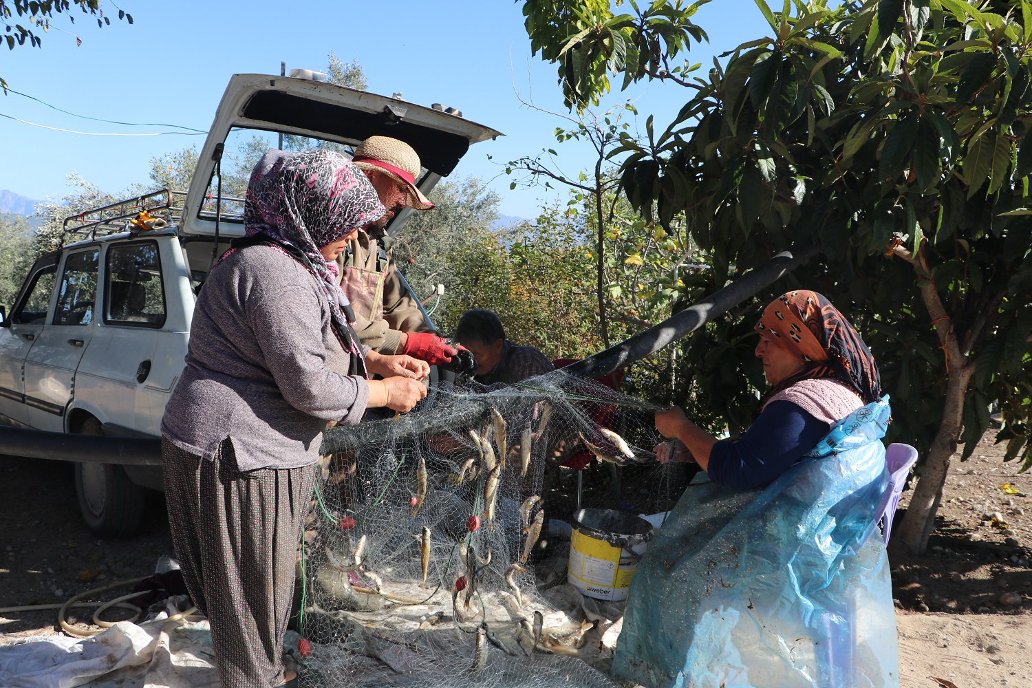 Kahramanmaraşlı Kadın Balıkçılar, Ağlarını Su Altındaki Eski Mahallelerinde Atıyor (9)