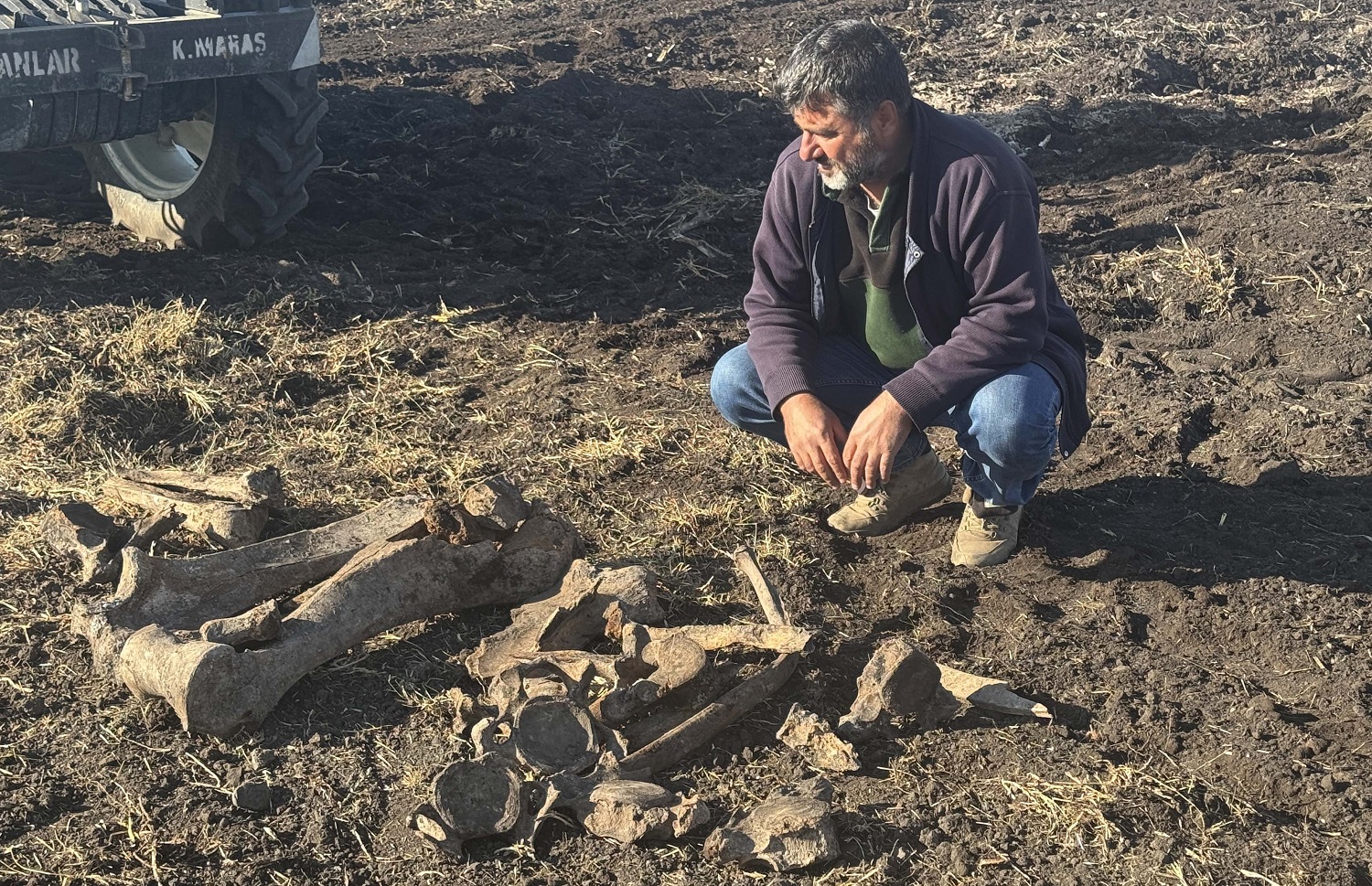 Kahramanmaraş'ta Tarlada Fil Kemikleri Bulundu (7)