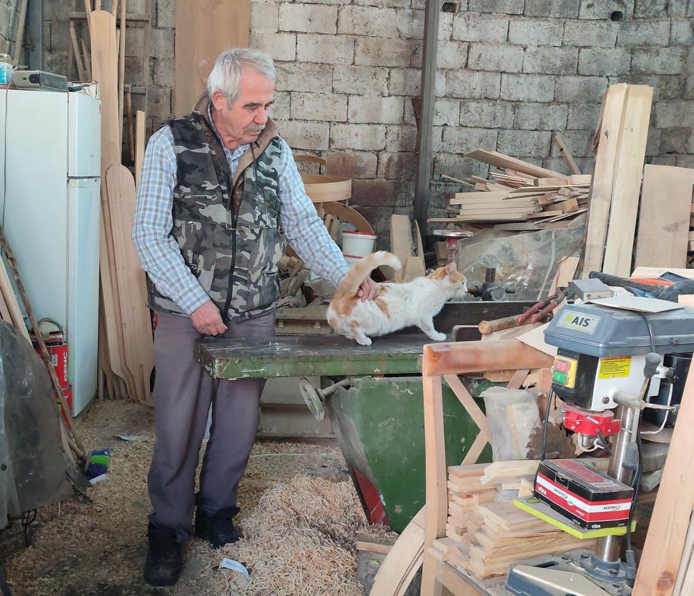 Depremden Sonra Sokakta Kalan Kedilere Sahip Çıktı 2